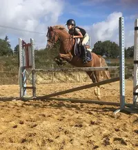 Haras des Templiers 46/centre Equestre