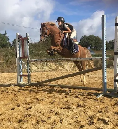 Haras des Templiers 46/centre Equestre