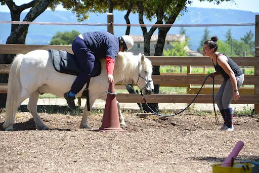 Isofaculte - Cheval Nature Sante