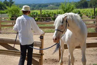 Lucky Horse Ranch