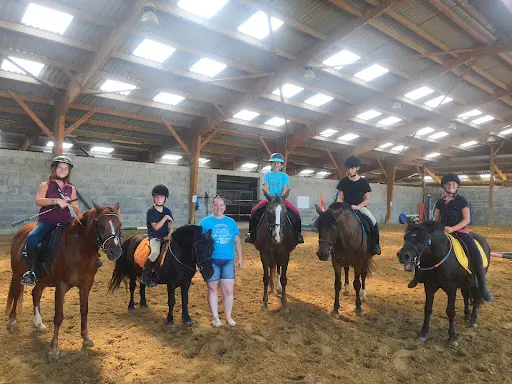 Les Poneys du Lien