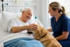 Médiation animale à l'hôpital et en Ehpad : quand les animaux de compagnie accompagnent les soins