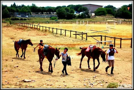 Centre Equestre Mejannes le Clap