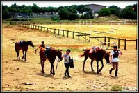 Centre Equestre Mejannes le Clap