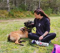 Sym Dog Lozère