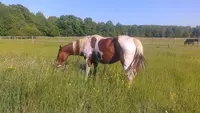 Fg Ranch