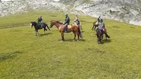 Cavaliers Voconces