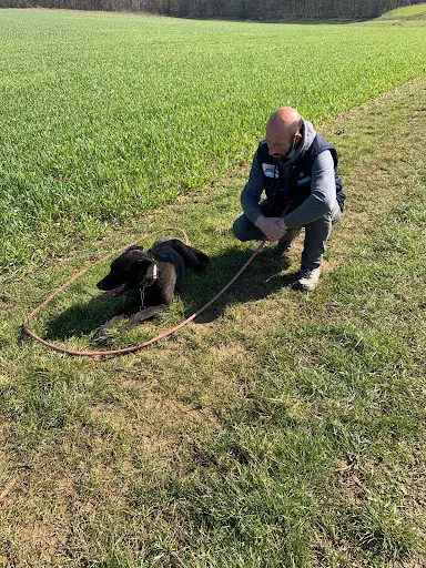 Domaine du Lor Molosse Complex Canin