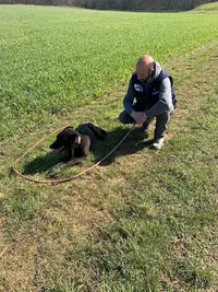 Domaine du Lor Molosse Complex Canin