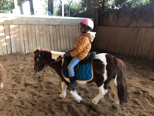 Club Hippique Etoile Blanche