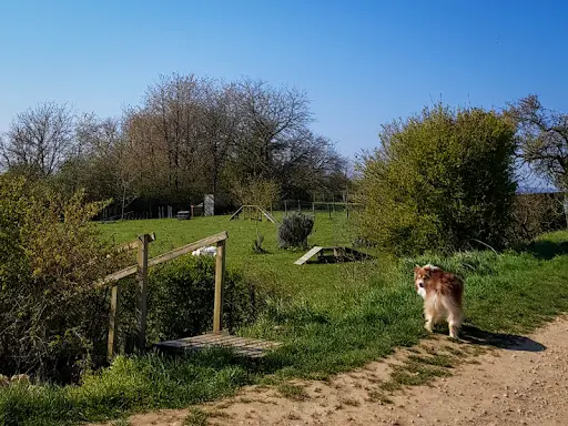 Aline Aublé - Comportementaliste et Éducateur Canin (secteur Dole / Auxonne et Alentours)