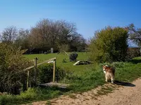 Aline Aublé - Comportementaliste et Éducateur Canin (secteur Dole / Auxonne et Alentours)