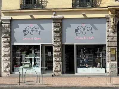 Chien & Chat