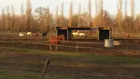 Poney Club Bon Air