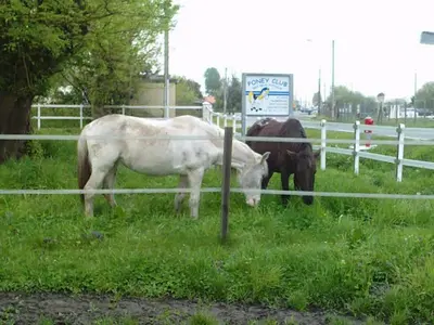 Poney Club des Deux Poteaux