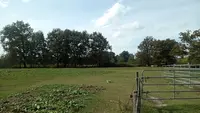Poney Club Mérignacais