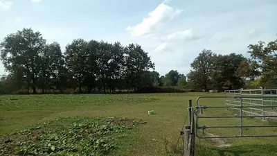 Poney Club Mérignacais