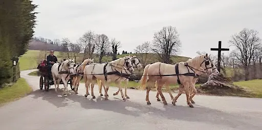 Les Chevaux d'Az