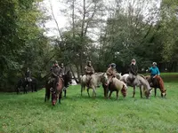 Ferme Equestre de Pesteau