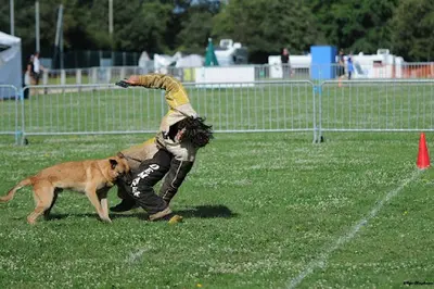 Club Canin de Méru