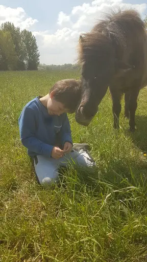 Association Poney Partage
