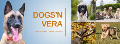 Dogs N Vera