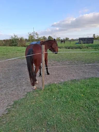 Ei Kitorogoff Maréchalerie