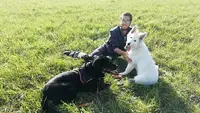Les Animaux du Mesnil : Éducateur Canin Comportementaliste