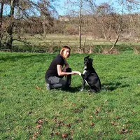 Caniduo Educateur Canin et Comportementaliste - Bernay