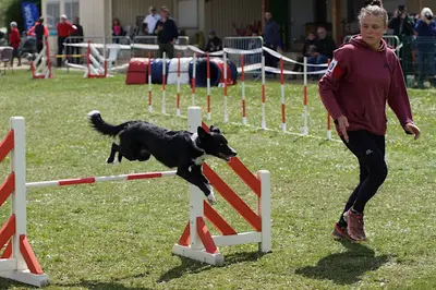 Esprit Canin 35 - Éducation et Agility