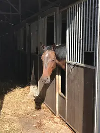 Centre Equestre de la Prade