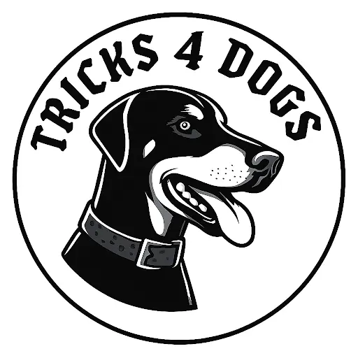 Tricks4dogs - Educateur Canin Metz et Environs