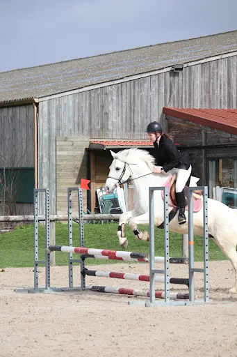 Meurchin Equitation
