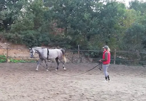 Écuries Fontbelle