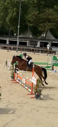 Haras la Buissone