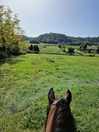 Le Haras du Mas