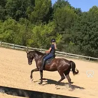 Centre Equestre les Amandiers
