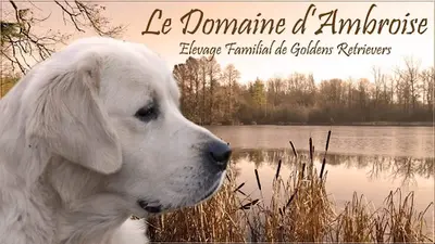 Domaine d'Ambroise