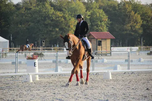 Perf’forme Horse Academy - Écurie de Compétition / Concours - Cso Dressage - Calvados Proche Lisieux