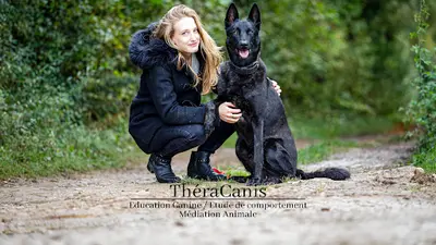 Théracanis