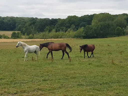 Écuries des Chênes