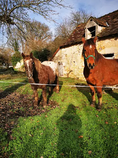 l'Association Equipaix