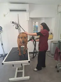 Lucyle Toilettage Canin & Félin