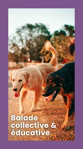 l'Ame Y Dog - Educatrice Canin