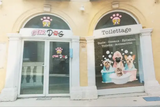 Toilettage Stardog