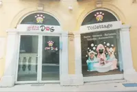 Toilettage Stardog