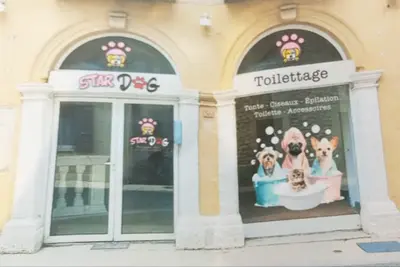 Toilettage Stardog