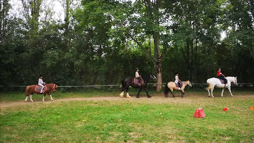 Ranch et Ferme du Saut du Loup