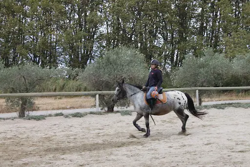 Centre Equestre de Mirepeisset