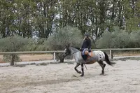 Centre Equestre de Mirepeisset